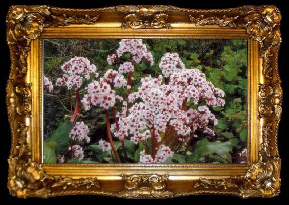 framed  unknow artist Still life floral, all kinds of reality flowers oil painting  88, ta009-2